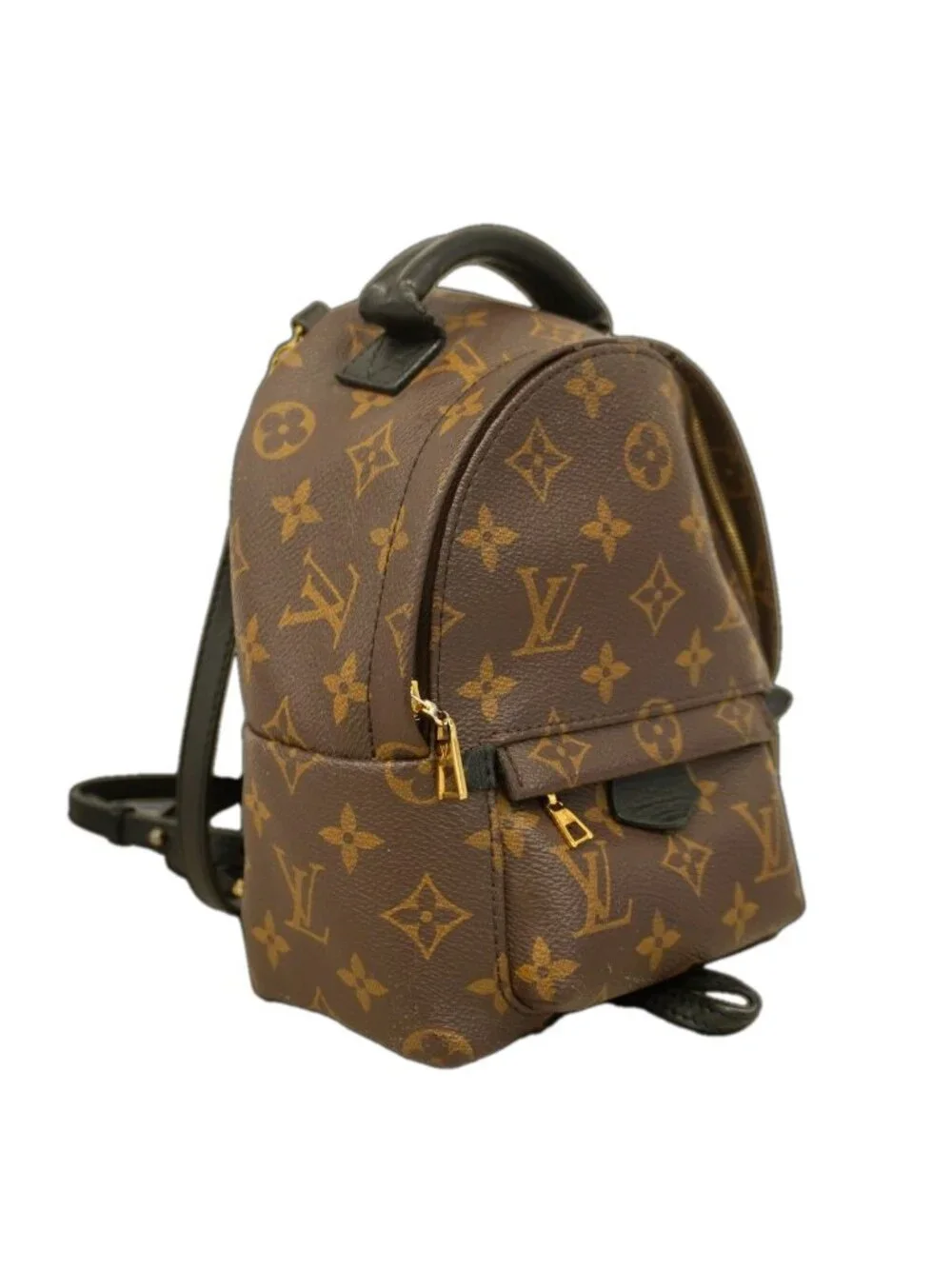 Louis Vuitton Backpack Monogram Palm Spring Mini Brown - Picture 2 of 10